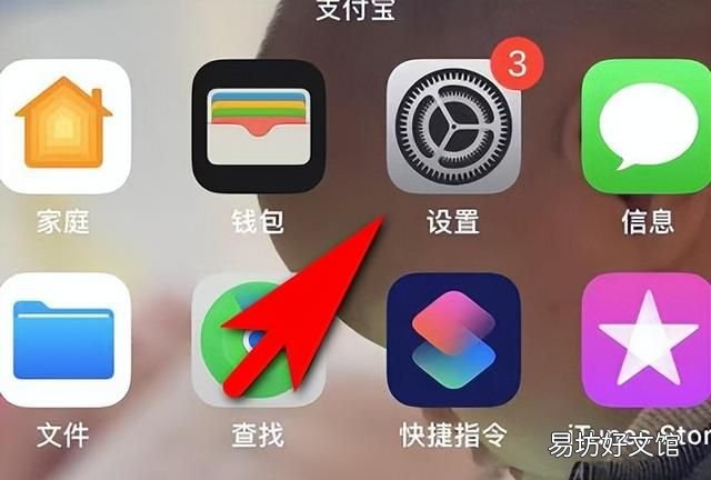 苹果如何用序列号查询手机在哪里 手机上如何查看苹果手机序列号