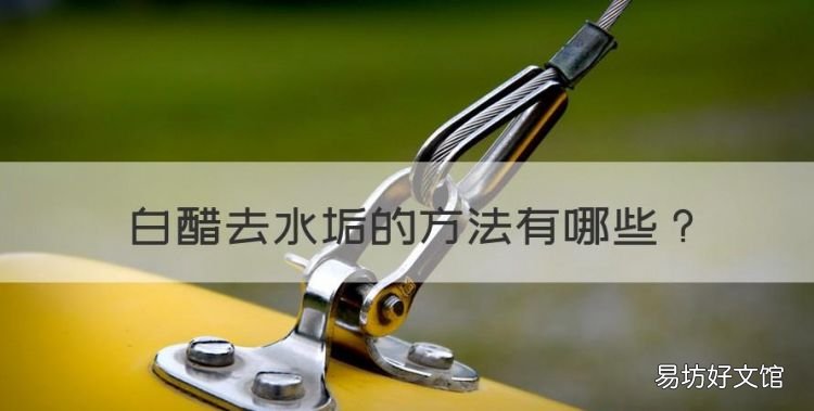 白醋去水垢的方法,怎么用白醋去除水垢 电热水壶