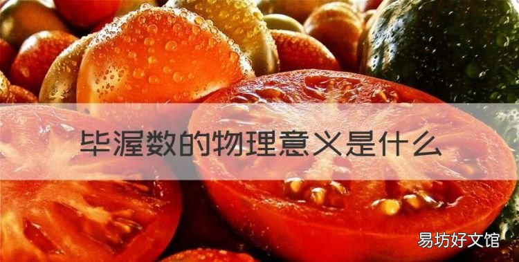 毕渥数的物理意义是什么,影响毕渥数的参数有哪些