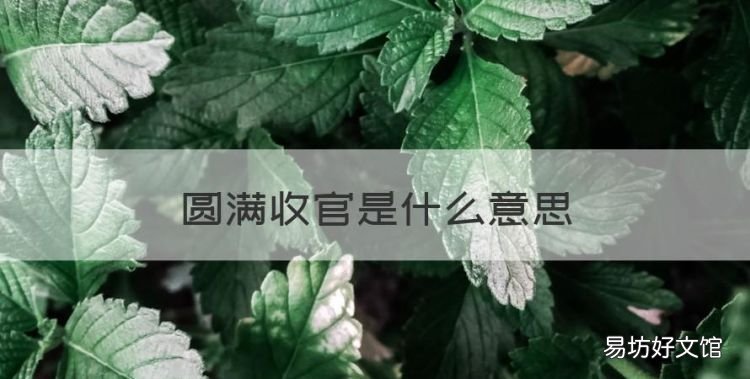 圆满收官是什么意思