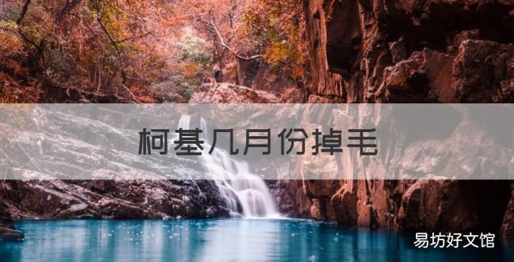 柯基几月份掉毛,柯基犬什么时候换毛?