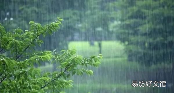今天入伏是下雨好还是不下雨好 今天入伏第一天下雨好不好