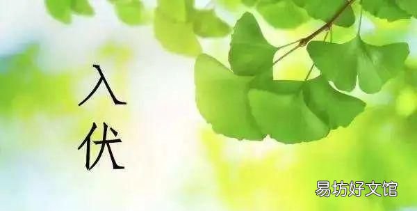 今天入伏是下雨好还是不下雨好 今天入伏第一天下雨好不好