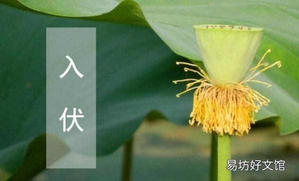 今天入伏是下雨好还是不下雨好 今天入伏第一天下雨好不好