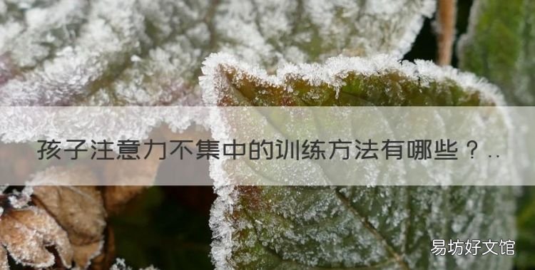 孩子注意力不集中的训练方法,孩子注意力不集中怎么办缺什么