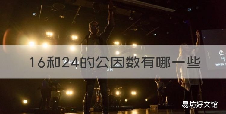 6和24的公因数有哪些,24和8的公因数有几个