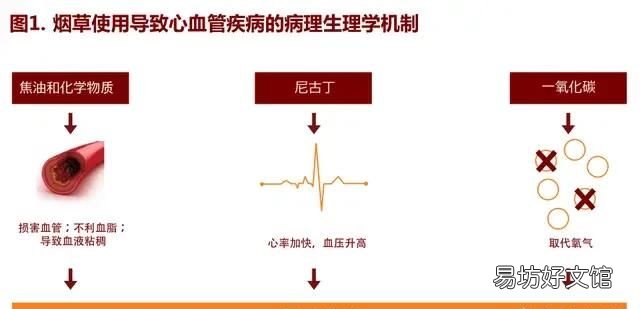 吸烟对心脏有什么危害,吸烟会对心脏有影响吗