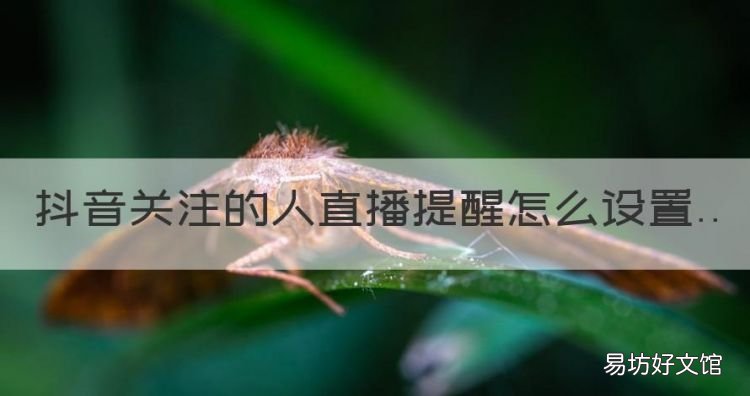 抖音关注的人直播提醒怎么设置