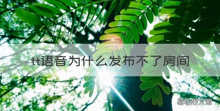 tt语音为什么发布不了房间，tt语音怎么发布房间到大厅