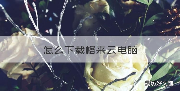 怎么格来云电脑，格来云游戏没有声音怎么办