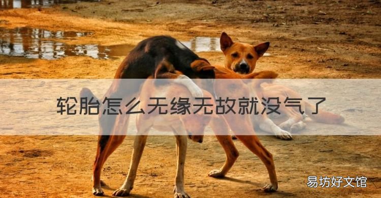 轮胎怎么无缘无故就没气了,汽车轮胎没有气了能开到修理厂吗