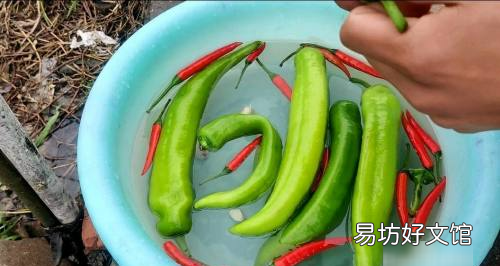 辣椒炒肉的做法,萍乡辣椒炒肉的做法
