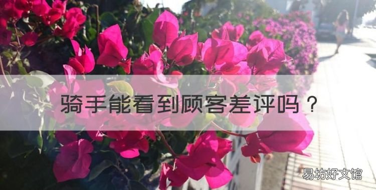 骑手能看到顾客差评,顾客删除差评骑手看得到