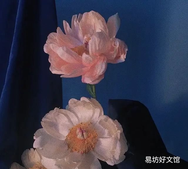终有弱水替沧海再把相思寄巫山,终有弱水替沧海再无相思留巫山