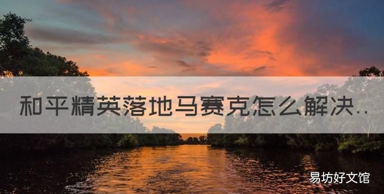 和平精英怎么禁赛队友,和平精英落地马赛克怎么解决