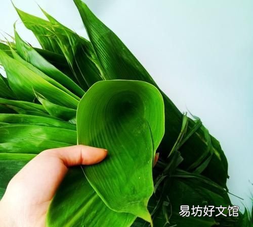 老粽叶可以包粽子吗