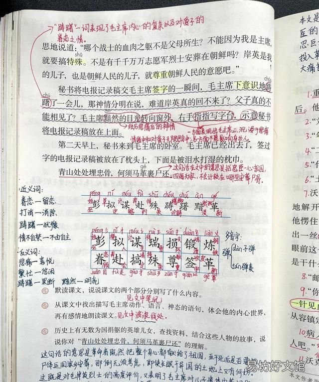 五年级下青山处处埋忠骨笔记 五年级下册青山处处埋忠骨笔记