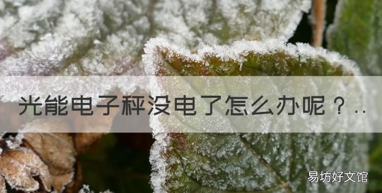 光能电子秤没电了怎么办,太阳能电子秤没电了怎么办