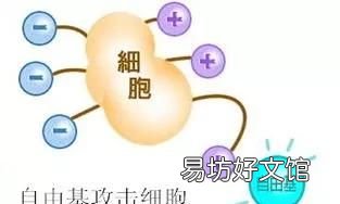 什么叫自由基对人体有益还是有害 什么样的自由基对人体有什么危害