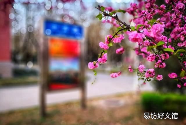 街和路有什么区别如何定义的,街和路有什么区别呢