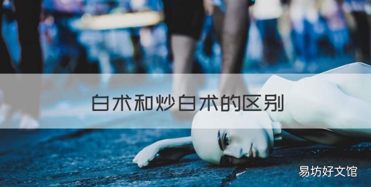 白术和炒白术的区别,生白术和炒白术的区别的功效与作用百度百科