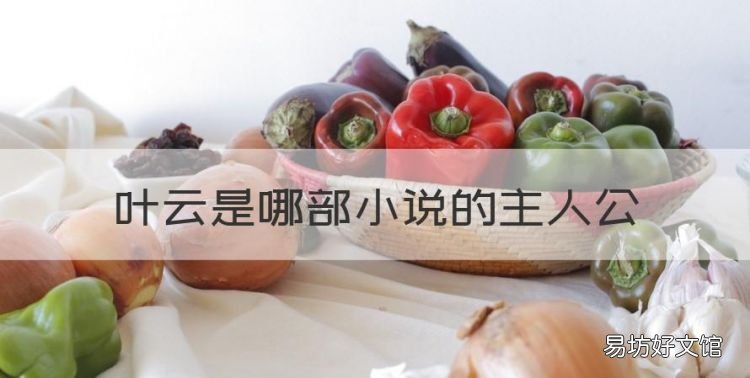 叶云是哪部小说的主人公,主角叶云被师傅关禁闭一万年的小说
