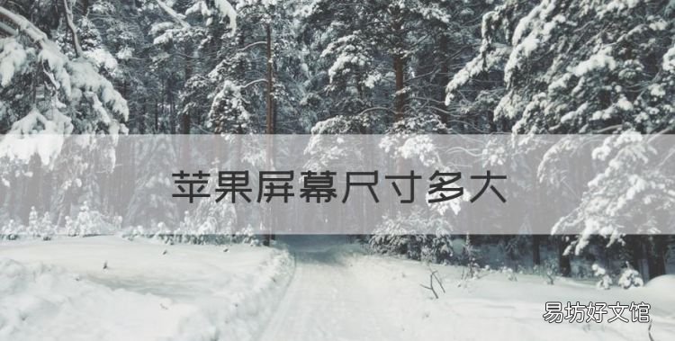 苹果屏幕尺寸多大，苹果13promax多大的屏幕尺寸