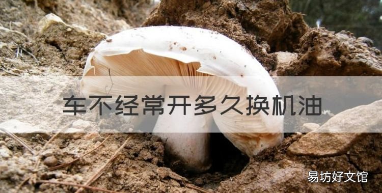 车不经常开多久换机油