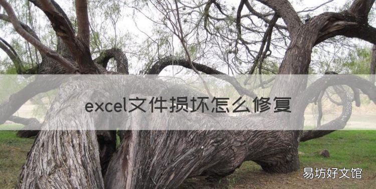 excel文件损坏怎么修复，excel文件损坏怎么恢复数据