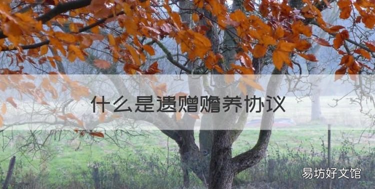 什么是遗赠赡养协议,没有遗赠扶养协议是什么意思