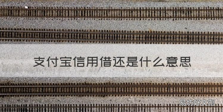 支付宝信用借还是什么意思,支付宝花呗信用借还是什么意思