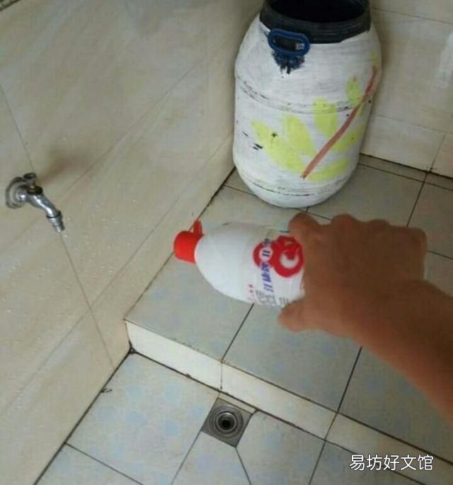 夏天厨房里有很多小虫子怎么办