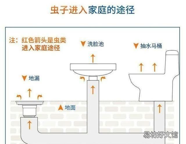 夏天厨房里有很多小虫子怎么办