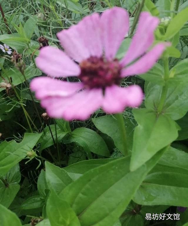 夏天厨房里有很多小虫子怎么办