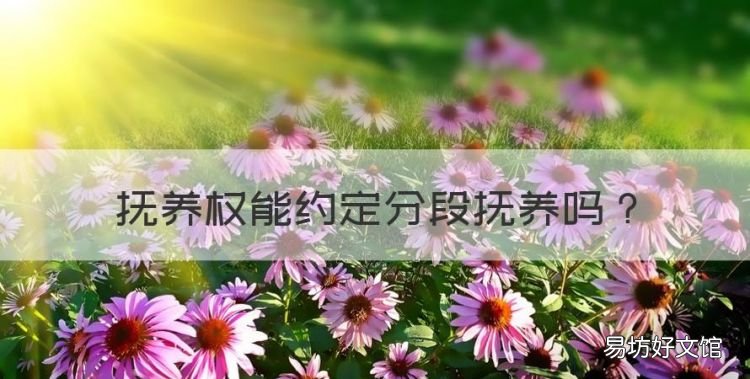 抚养权能约定分段抚养,户口和抚养权可以分开吗