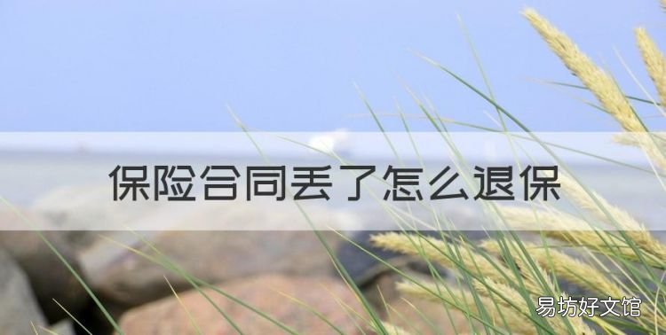 保险合同丢了怎么退保，保险合同丢失了可以退保