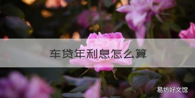 车贷年利息怎么算,车贷怎样计算利息和月供