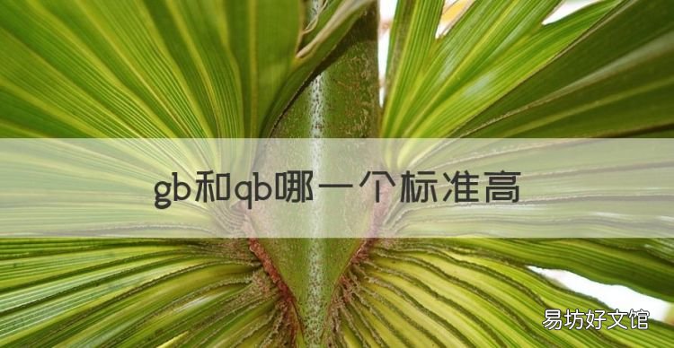 gb和qb哪一个标准高,珠宝执行标准qb好还是gb好