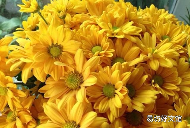 去眼袋什么眼膜效果最佳,巧妙自己做眼膜去眼袋