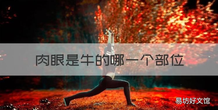 眼肉是牛的哪个部位,肉眼是牛的哪一个部位