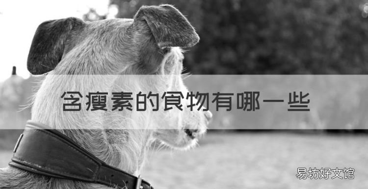 含瘦素的食物有哪些,什么食物含瘦素最高