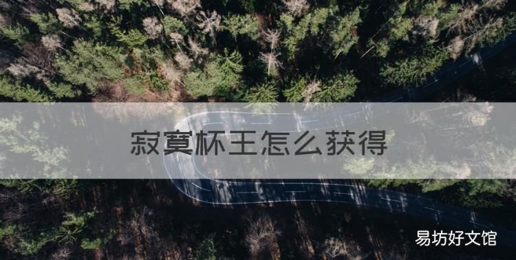 寂寞杯王怎么获得,火力少年王3小说版可以在哪里阅读呢