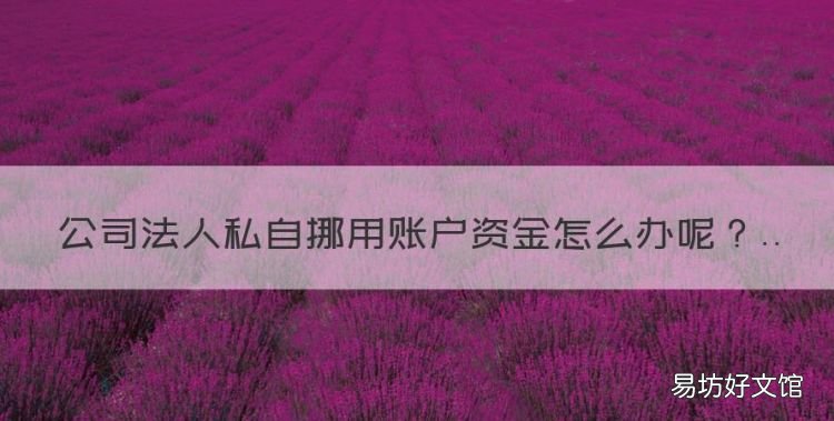 公司法人私自挪用账户资金怎么办