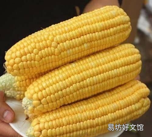 新鲜玉米如何保存最新鲜