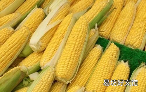 新鲜玉米如何保存最新鲜