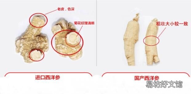 西洋参的种类及鉴别 生晒参和西洋参区别
