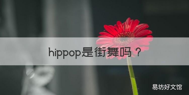 hippop是街舞,街舞是hiphop还是hipop