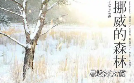 挪威的森林想表达什么