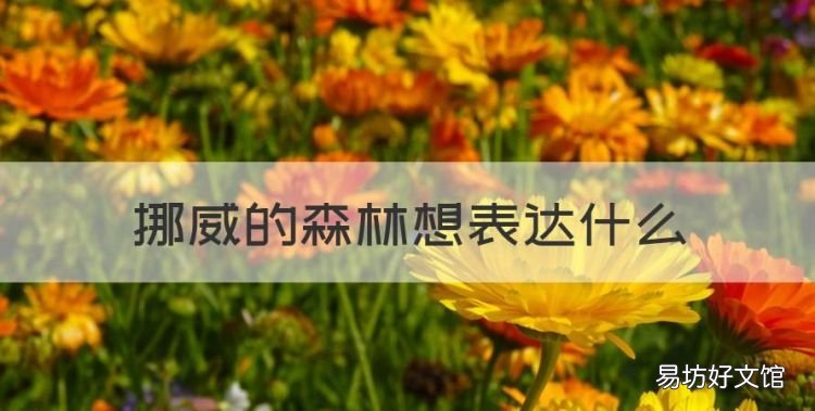 挪威的森林想表达什么