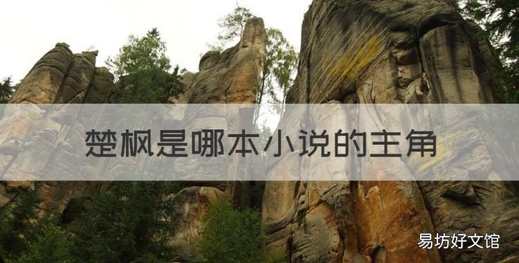 楚枫是哪本小说的主角,主角叫楚枫的都市修真小说名字